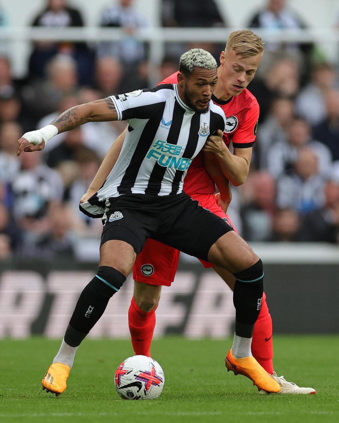 持保留最终 持保留最终